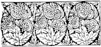 SOR233C.TIF