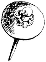SOR330G.TIF