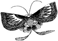 SOR322H.TIF