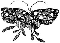 SOR322B.TIF