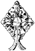 SOR291G.TIF