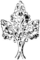 SOR291F.TIF