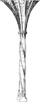 SOR277E.TIF