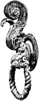 SOR354D.TIF