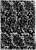 SOR441A.TIF