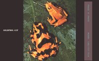 GOLDFROG.GIF