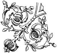 SOR431C.TIF