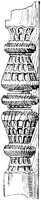 SOR421D.TIF
