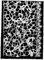 SOR415C.TIF