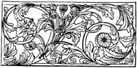SOR488J.TIF