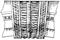 SOR569B.TIF