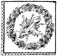 SOR548C.TIF