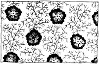 SOR619A.TIF