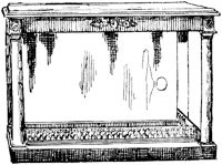 SOR604F.TIF
