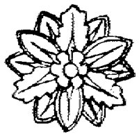 SOR601F.TIF