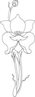TOD020C.TIF