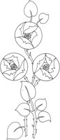 TOD020B.TIF