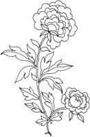 TOD017B.TIF