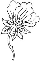 TOD016C.TIF