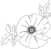 TOD009B.TIF