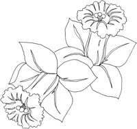 TOD009A.TIF