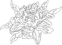 TOD008A.TIF