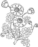 TOD006B.TIF