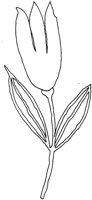 TOD005G.TIF