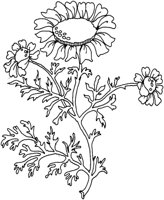 TOD005C.TIF