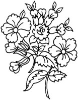 TOD004B.TIF