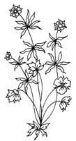 TOD003E.TIF