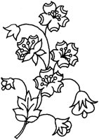 TOD002C.TIF