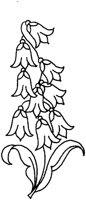 TOD002B.TIF