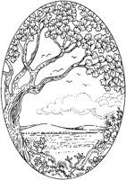 TOD078D.TIF