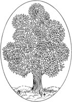 TOD078B.TIF