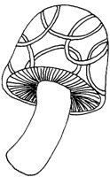 TOD073E.TIF