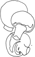 TOD072I.TIF