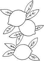 TOD072H.TIF