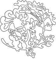TOD097D.TIF