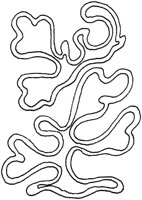 TOD093O.TIF