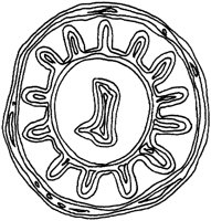 TOD091D.TIF