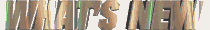 WHAT~126.GIF