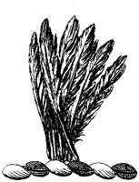 HRC113F.TIF