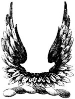 HRC113A.TIF