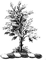 HRC145F.TIF