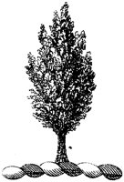 HRC142N.TIF