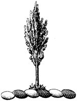 HRC142L.TIF