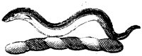 HRC140J.TIF