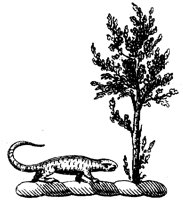 HRC136I.TIF