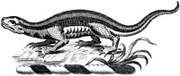 HRC136E.TIF